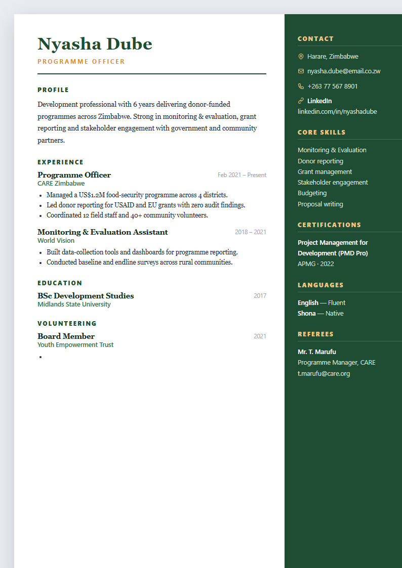 Executive ngo CV template preview
